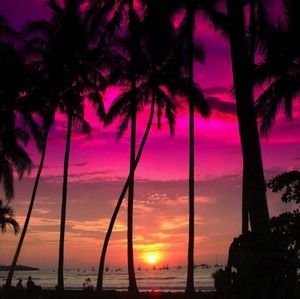 Meet your Posher, Hayley